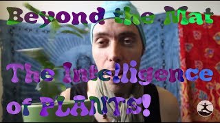 The Intelligence of PLANTS! - Beyond the Mat 55
