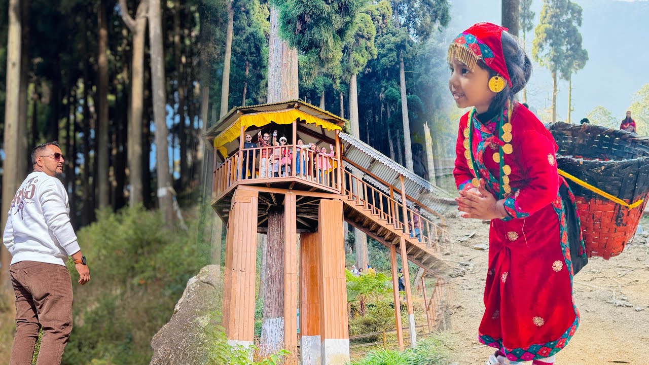 Forever chasing this view Mount Kanchenjunga.Lamahata & Bara Mangwa orange garden. #multi explorer 