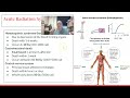 Rad Biology 6 
