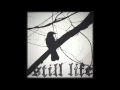 Still Life - Useless