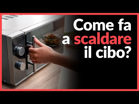 Video: Cosa Devi Sapere Su Un Forno A Microonde?