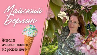 Blossom Berlin / Майская прогулка по Берлину / Неделя итальянского мороженного