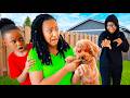 MOMS EVIL TWIN CONTROLS DOG WHAT HAPPENS IS SHOCKING 