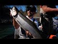 Late BROODSTOCK Winter Steelhead Fishing. | Addicted Life Ep. #34