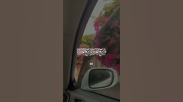 تلاوات تريح النفس وتريح آلأعصاب ❤️❤️❤️❤️❤️🤲🏿♥️❤️