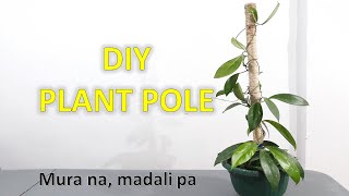 DIY PLANT POLE | Easy and Affordable | Leafaholic Sheila