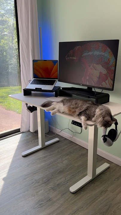 Standing Desk Setup #workfromhome