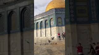 حمام القدس الجميل  من أمام قبة الصخرة   💚🇵🇸