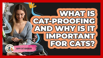What Is Cat-proofing And Why Is It Important For Cats? - Happy Cat Handbook