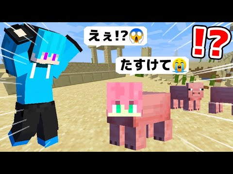 ブタになった友達を助けろ！？😱友達の体を元に戻すために救出サバイバルした結果ｗｗｗｗｗｗｗｗ【 マインクラフト / まいくら 】【まひてる】