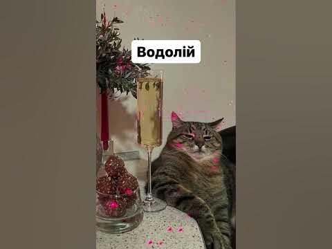 Яка ти тварина за знаком зодіаку? 🐎🐃🐇 #зодіак #гороскоп # ...