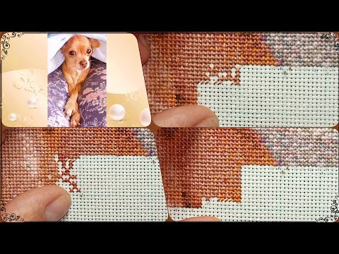 Процесс вышивки крестом🪡//Cross-stitch