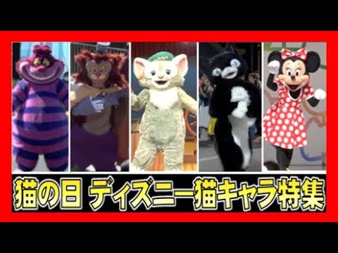 ºoº 2月22日 猫の日 ディズニー猫キャラ特集 Youtube