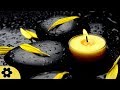 Zen Meditation Music, Soothing Music, Relaxing Music Meditation, Zen, Binaural Beats, ✿3351C