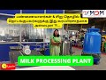 Bulk milk coolermilk processing plantcurd processing plantice cream plant call9042571010