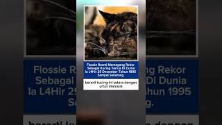 Flossie resmi memegang rekor sebagai kucing tertua di dunia ia l4hir 29 Desember tahun 1995