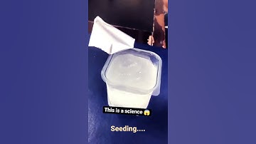 Seeding | Like Metastable equilibrium of water | Sodium polyacrylate
