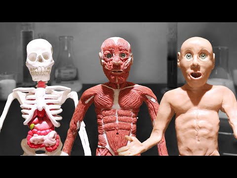The Scientist (a Stop Motion animation)
