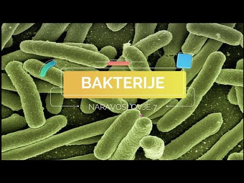 Bakterije [NAR7]