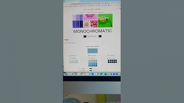 How to make a monochromatic brand color palette 🎨 #colorpalette #monochromatic #graphicdesign