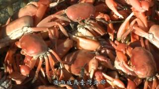 2013有影秀台灣-熱鍋邊的螃蟹-上集