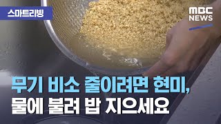 [스마트 리빙] 무기 비소 줄이려면 현미, 물에 불려 밥 지으세요 (2020.12.04/뉴스투데이/MBC)