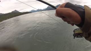 Kenai Rainbow on the Fly.