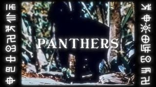 Greyson Chance - Panthers (Official Lyric Video)