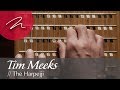 Tim Meeks // The Harpejji [MartinLogan Presents: Artists in Motion]
