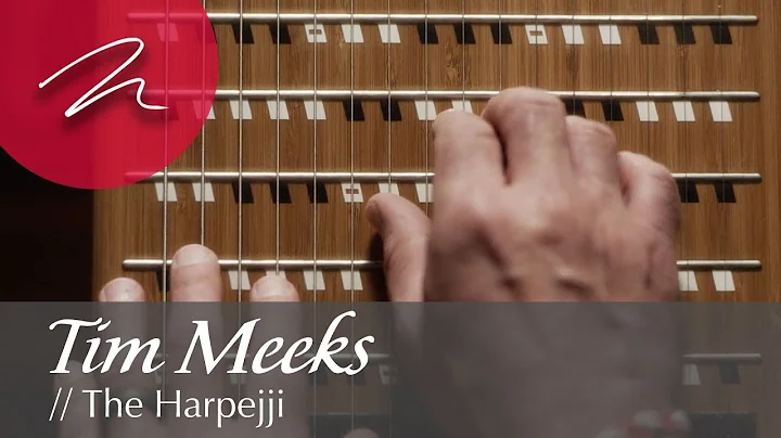 Tim Meeks // The Harpejji [MartinLogan Presents: A...