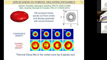 INT 19-1a: N. Proukakis, "Vortex Dynamics in Quenched Phase Transitions of Quantum Gases"