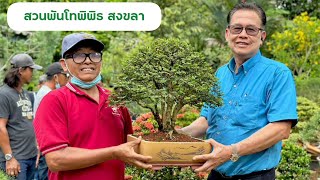 ทัวร์สวนบอนไซ พันโทพิพิธ อำเภอสะเดา จังหวัดสงขลา