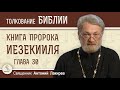 Книга пророка Иезекииля. Глава 30 "Гордыня разъедает любое могущество"  Священник Антоний Лакирев