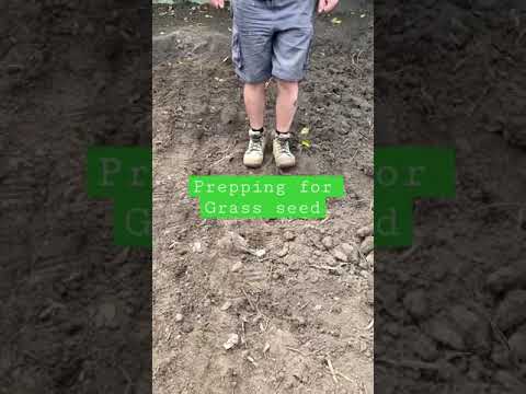 Video: Některé pokyny, kdy zasadit trávu