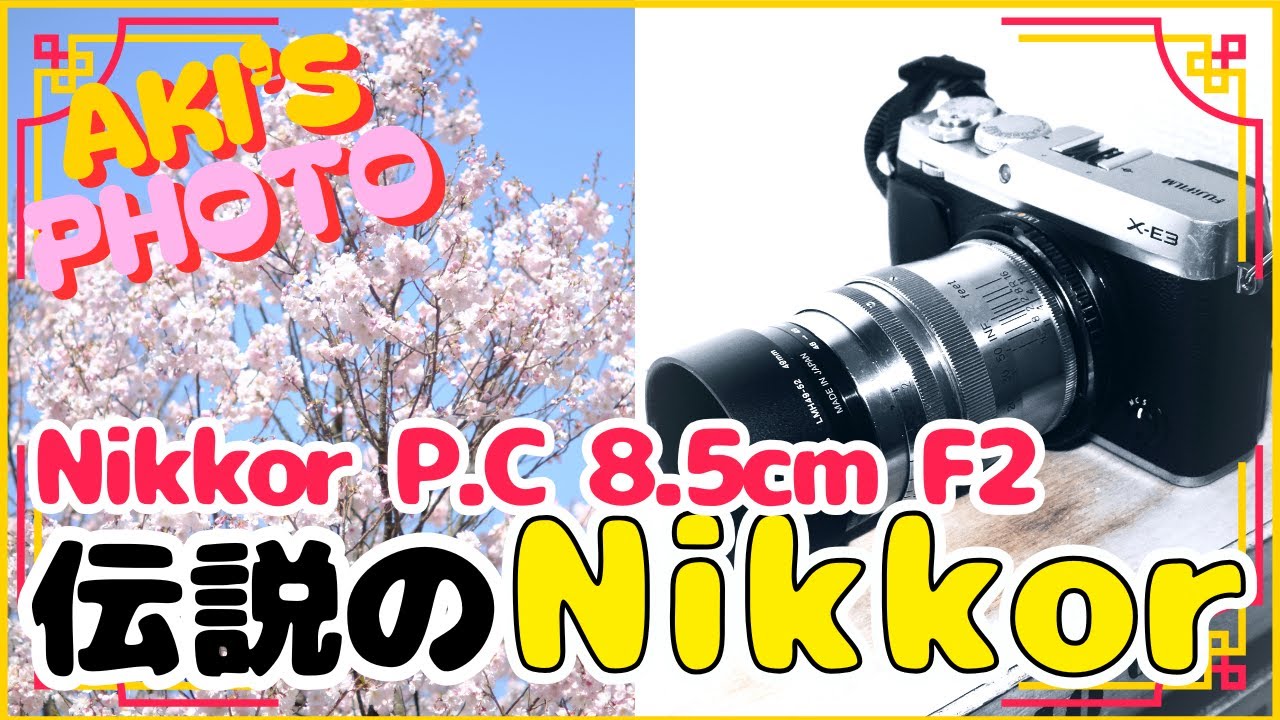 希少！カメラ好き必見です！ Nikon] Cherry blossom photography with Nikon's legendary lens