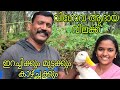 വിഗോവ ആദായ വിൽപ്പന || ഇറച്ചിക്കും, മുട്ടക്കും ഉത്തമം.