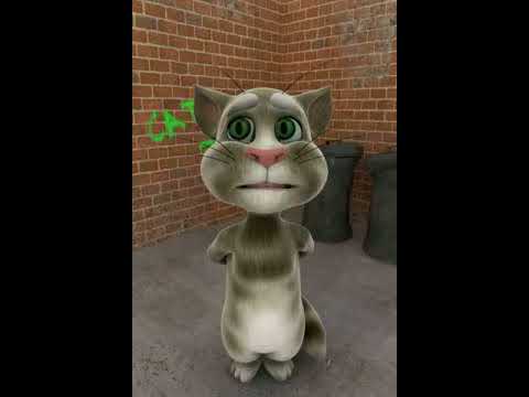 Talking Tom Panget Mo