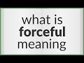 Forceful Meaning Of Forceful