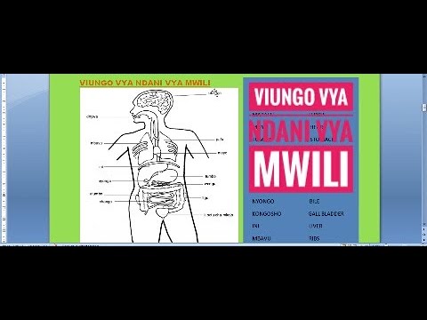 Video: Je! Mwingiliano Gani Wa Mwili Huamua Dhamana Ya Viini Kwenye Kiini