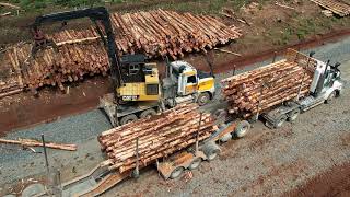 Log Loader - Loading Small Grade Saw Logs Onto A Log Truck
