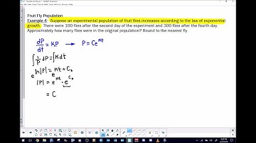 AP Calculus AB  - Differential Equation Application:  Growth & Decay