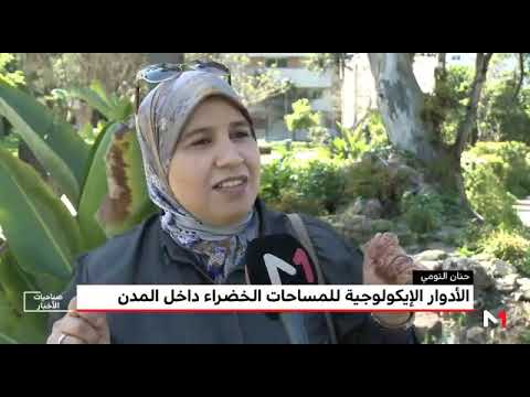 دور المناطق الخضراء في الوسط الحضري