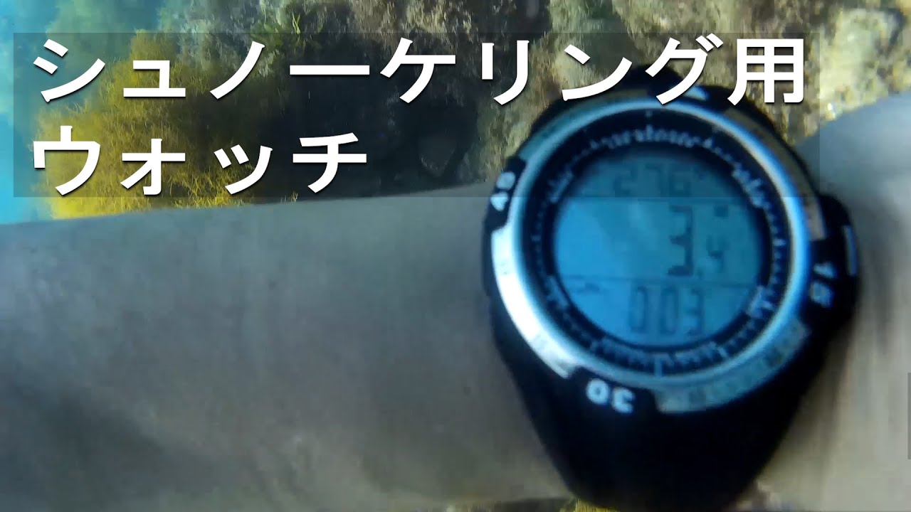 snorkeling watch（diver's watch）LAD WEATHER （lad040）snorkeling master