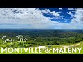 Montville & Maleny Sunshine Coast Hinterland Day Trip