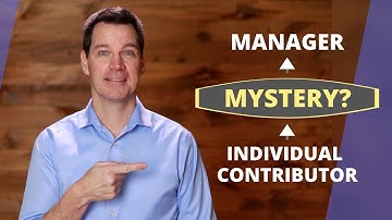 Individual Contributor Vs Manager