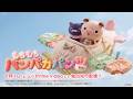 『もちもちパンパカパンツ』OP映像｜Prime Videoにて独占先行配信中！