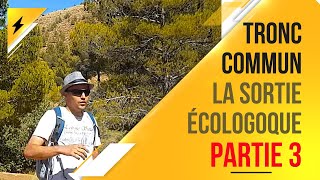 La sortie écologique  Partie 3 Tronc commun  Scientifique