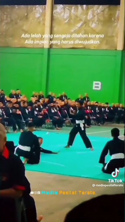 Story'wa PSHT sambung seni pencak silat Indonesia|| #shorts #story #psht #viral