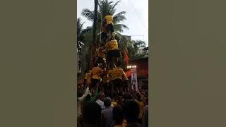 Sonarpada 7 thar try dahi handi