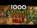 Loot From 1,000 Kalphite Queen